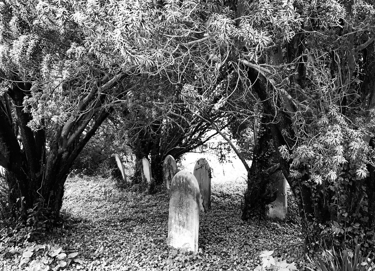 poshncfc's tweet photo. The gothic splendour of Great Plumstead church yard on a grey day... https://t.co/QSqViArX5j
