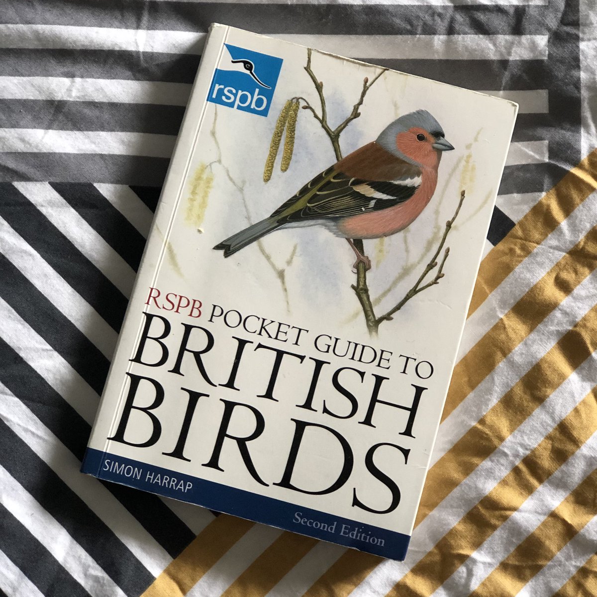 BookstackB's tweet image. Title/author: Simon Harrap’s RSPB Guide to British Birds
Pages: Plenty
Genre: Nature
Notes: Pleasing weight, wholesome, stout. Owned by 92% of National Trust members
Slippage: Sure. A solid base level book
English teacher pretention: 4/10 Delusions of Packham. Hints of Brontë