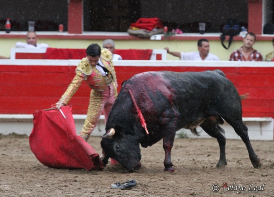 Lorenzo Garza tweet media