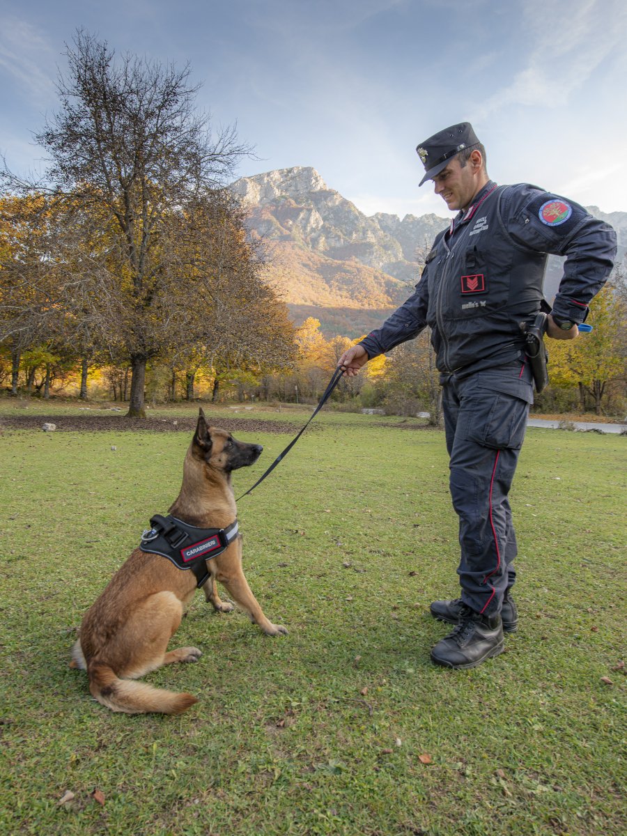 Settefrati (FR): strage di cani, torna l’incubo dei bocconi avvelenati. Stavolta ha rischiato anche il cane antiveleno dei Carabinieri Forestali.parcoabruzzo.it/dettaglio.php?… #parcoabruzzo #carabinieriforestali #bocconiavvelenati #veleno