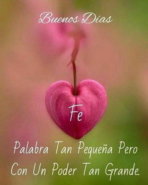 🌺🌻🌼🌷⚘
@BELEN267248505 @YuniBurgos @BoYraida @GarciaYaru @NicolasMaduro @Chevy20151 @florAzu28 @JhonMs16 @mercedeslouzaod @mdgil64 @ELChat035 @Patria05200405 @MaryGuerrera7 @kermys4 @Materialista221 @AndryRivero20D @amelia74698445 @amomipatria8 
#EsfuerzoYDisciplina
🌹🌷🌺🌻