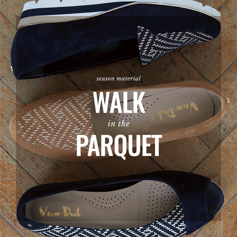 van dal navy shoes