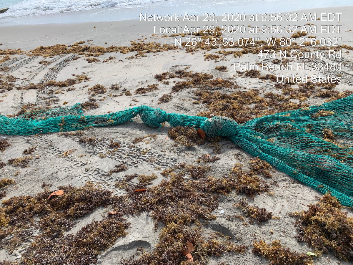 Fishermen suck. Ghost netting kills. This one is no longer out there! #noplasticwaste #beachcleanup #beachcleaning #beachtrash #litterfreeflorida #plasticpollution #saveourseas #keepouroceansclean #no_plasticwaste #pickinguptrash #oceandebris #marinedebris #protectingparadise