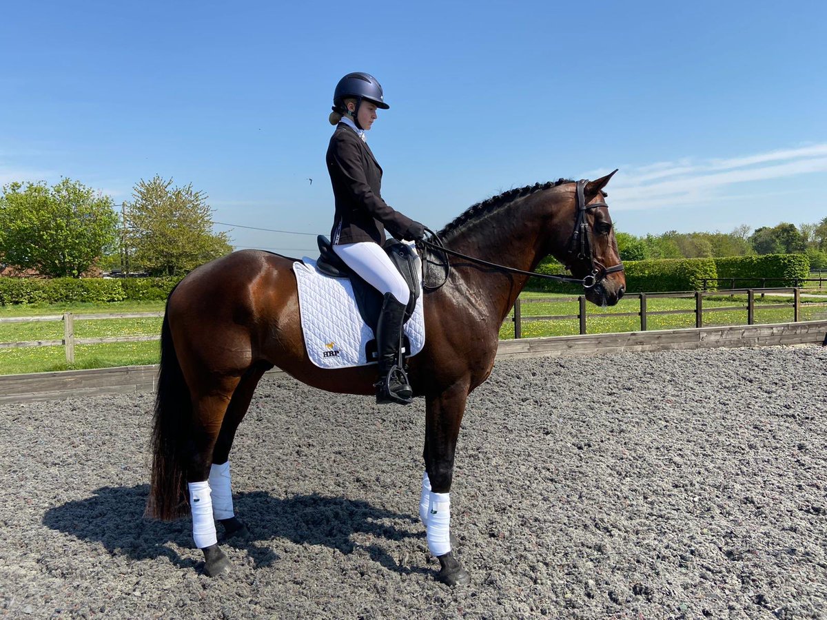 LucindaFred's tweet photo. Britannia's Mail is looking absolutely magnificent at the moment thanks to @PureFeed. Just look at that shine ✨
#PureFeed #BritanniasMail #PoweredByPure https://t.co/eZKWUSIPER