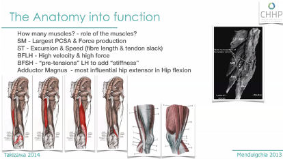 ColmOHare_'s tweet photo. Brilliant presentation from @JMoorephysio..so much information packed into that..648 different versions of injury and the importance kinematics plays in injury and rehab! @sportsmapnet #MasteringMuscles https://t.co/uLHXFSBf0V