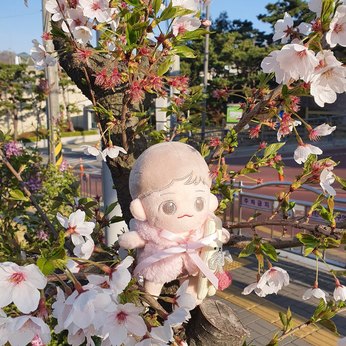 chuu_chuu_doll's tweet photo. 🌸#RT 추첨을 통해 2분께 원피스세트를 드려용(._.) ƪ(‘-‘ ƪ)(ʃ ‘-‘)ʃ (/._.)/

🐰 바니바니옷, 봄봄원피스, 토끼가방,   
      리본조끼, 당근가방, 오리튜브
🐰 주문기간: 4/29~5/10
🐰 폼: https://t.co/xw7FZ73bx8
  
- 문의사항은 언제나 디엠주세용!
#츄츄 #인형옷 #인형가방 #주문서 https://t.co/DleQRoskcC