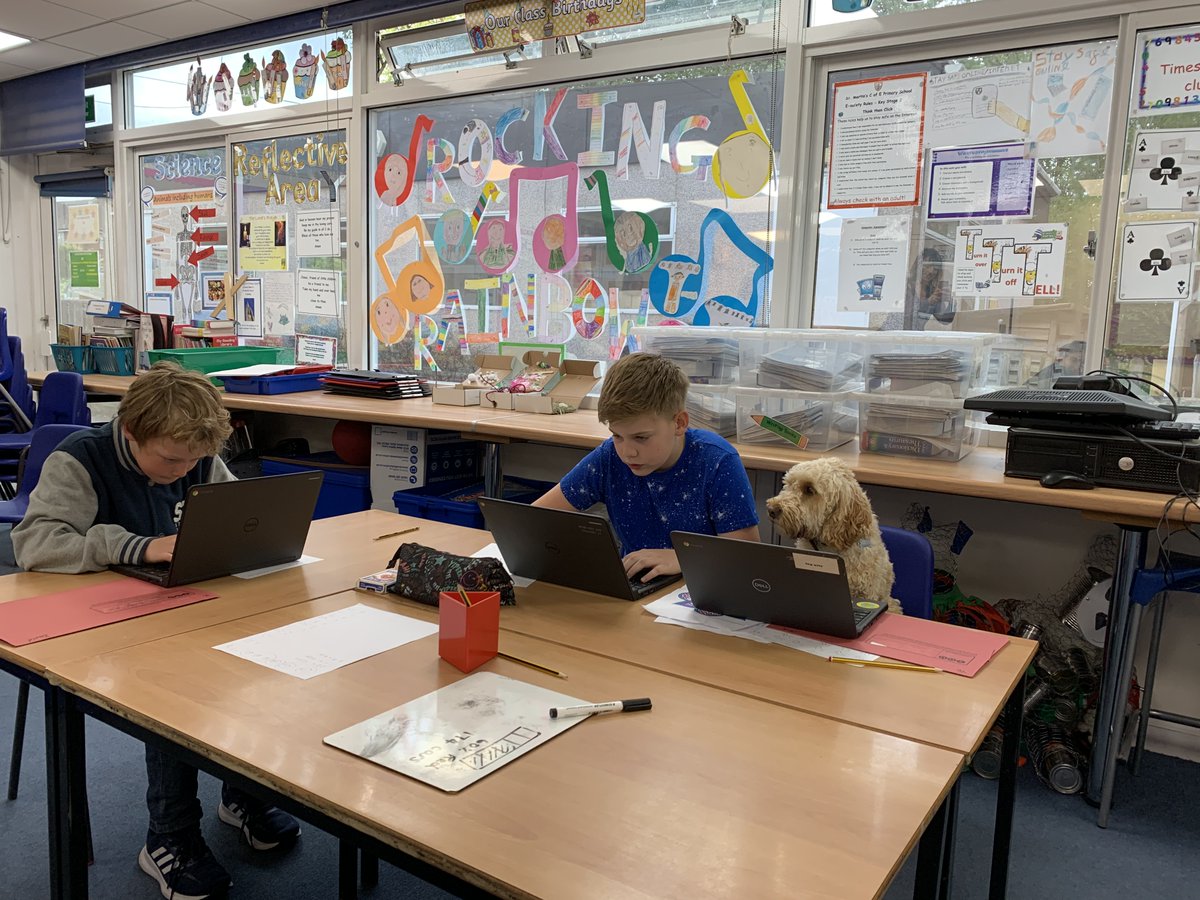 St Martin's C of E Primary, Dorking tweet media
