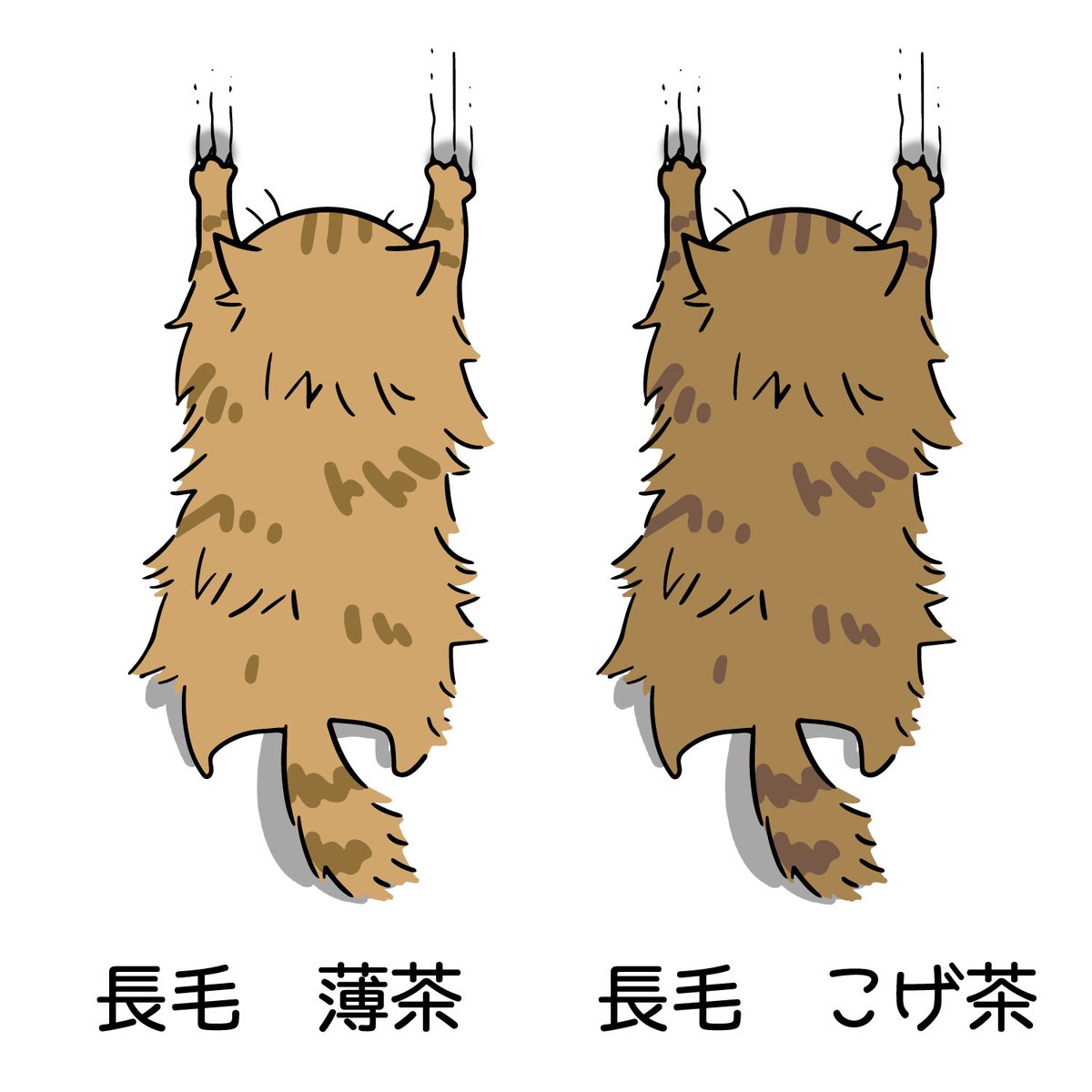 要望が多かったから
しがみつくねこの長毛に
薄茶色も加えたぞ!!
しがみつくねこ
ekot Tシャツ
<イラスト:タカ(笹川ラメ子)> #minne
https://t.co/L3fFjMWLIX
