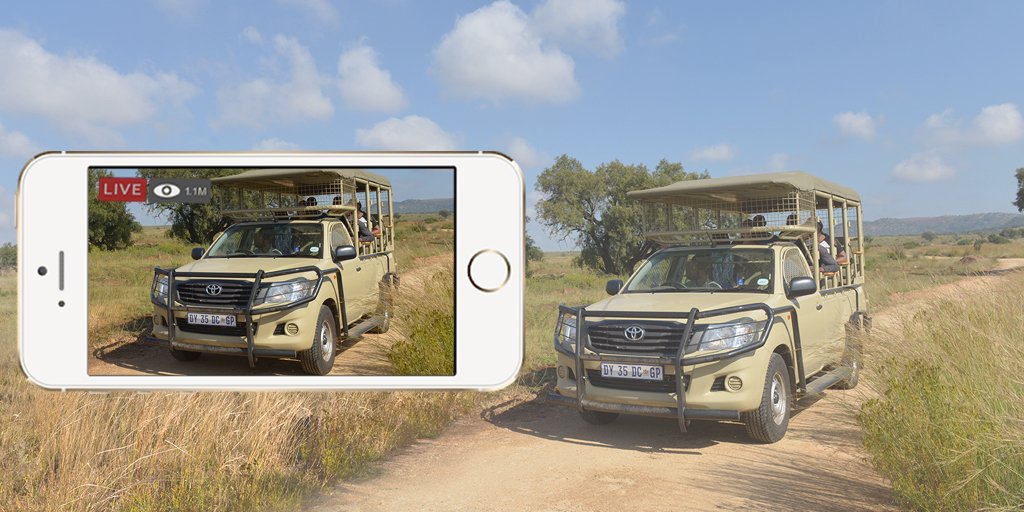 Join us on our live guided game drive with Shandor Larenty this afternoon at 16:00 (GMT +2). We will be live on our Facebook page and our Instagram account. 
#livegamedrive #virtualsafari #wildlife #southafrica 
#ExploreDiscover