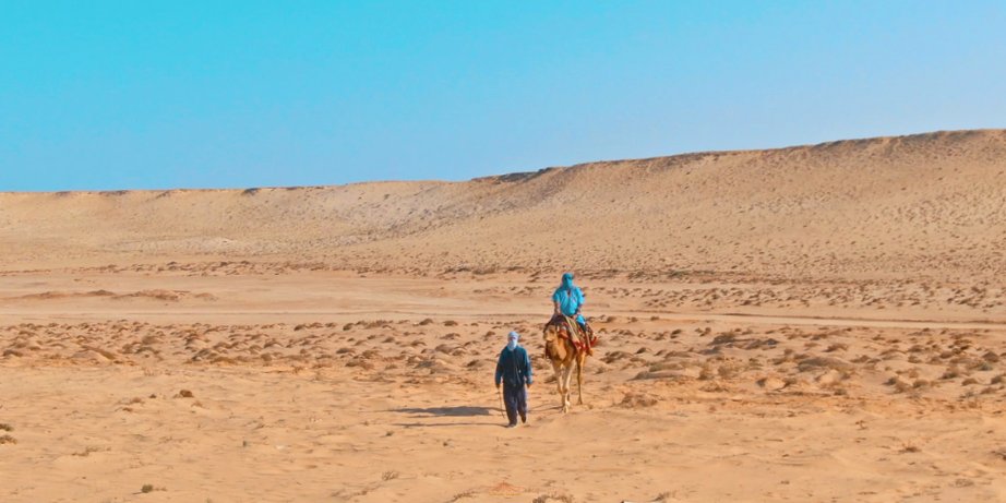 L’important n’est pas de marcher sur la route, mais de profiter de ce que la vie vous donne le long du chemin ✨✨
#dunesdedakhla #marruecos #morocco #maroc #dakhla 
#traveltheworld #travelfotography
#travelblogger #moroccotravel  #moroccotourism #bivouac #glamping #tentedcamp