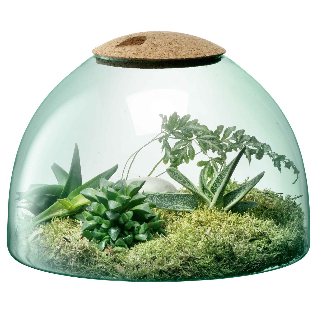 The best accessories for small gardens <a href="/Spectator_LIFE/">Spectator Life</a> including the fabulous Terrarium from #rechic bit.ly/3f7PD9l Create your own little mini ecosystem at home