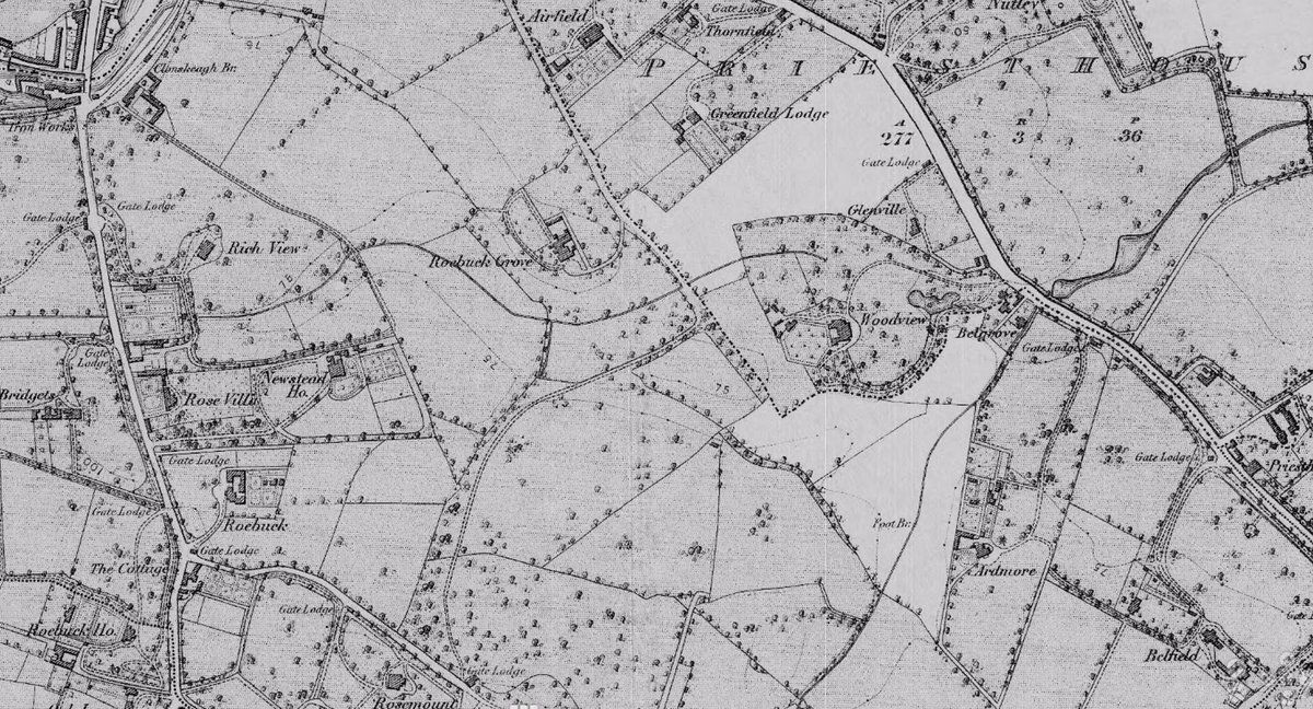 3/ Most of the Belfield woodlands date to late 18th/early 19th century. They were part of the original estates purchased by  #UCD from the 1930s onwards – including Roebuck Castle, Ardmore, Belfield and Woodview Houses, visible in this 1874 map  @UCDLibrary https://digital.ucd.ie/view/ucdlib:33000