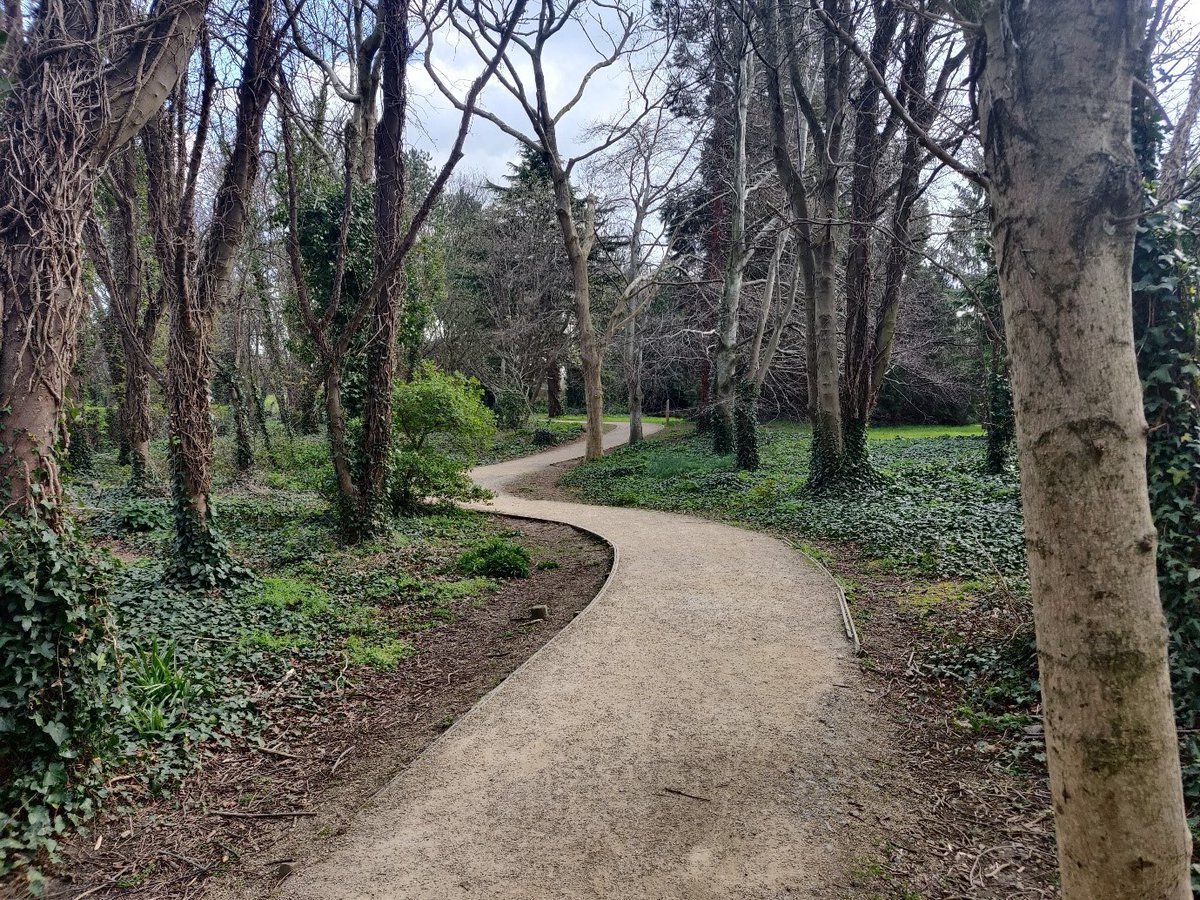 14/ The woodlands are a popular amenity for staff and students in  #UCD as well as our local community, including spots like the 'secret' lake (image:  @alexrussell290). A series of Woodland Walks have been laid out in the UCD Woodlands Walk Map & Guide  https://www.ucd.ie/t4cms/UCD%20Woodland%20Walk%20Map%20and%20Guide.pdf