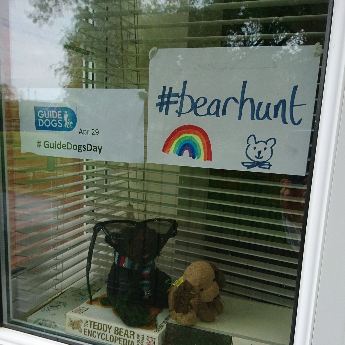 stanleygiffiths's tweet photo. #bearhunt Apr 29 Happy #guidedogsday Good boy, Scamp! 🐻🐕 https://t.co/ooZpCLD0GO