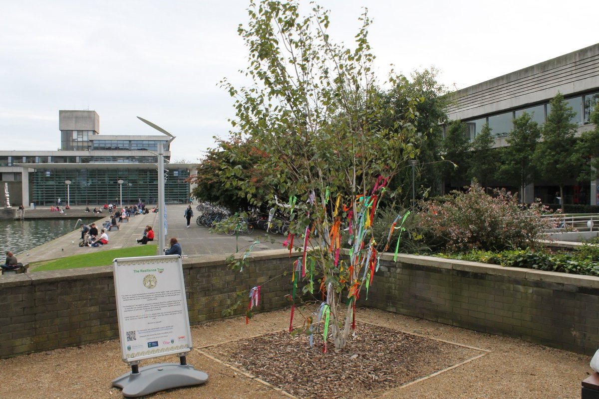 20/ The  #UCD resilience tree, a birch, has symbolic meaning. Brian Tobin of  @ucd_forestry picked some of his favourite campus trees for  #UCDEarthTalks. He says he wouldn't normally pick birch but made an exception here! Do you have a favourite  #UCD tree? http://www.ucd.ie/earth/newsevents/earthtalks