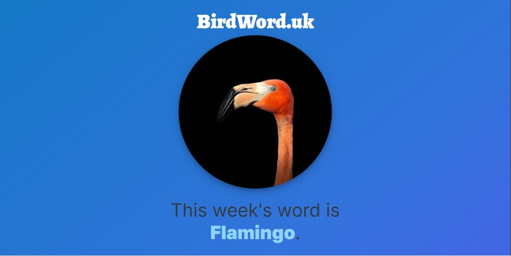 birdwordshares's tweet photo. Can you make a Flamingo out of Lego?  Check it out at https://t.co/dq9zCHXFNq https://t.co/PSPec2Tbgv