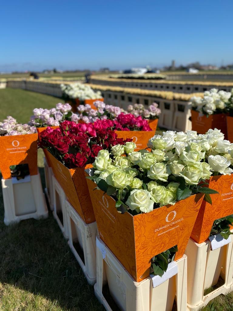 This year Madurodam will create a war memorial of thousands, or - hopefully - perhaps tens or hundreds of thousands of flowers that form the Dutch tricolour. 🇳🇱🧡 A flower on behalf of every child, with a desire for freedom for the Netherlands. 🌸