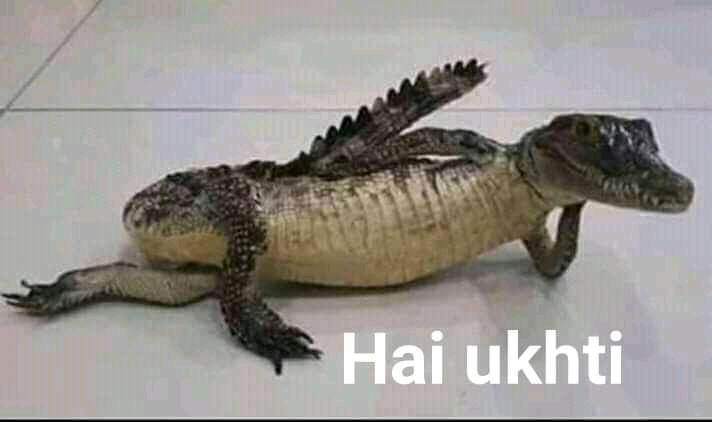 Byansskuy's tweet image. #dmtwitter