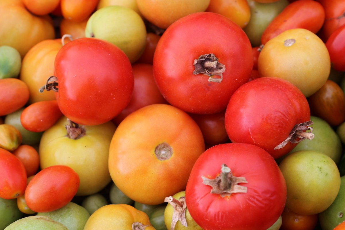 Forestry, Agriculture and Lands tweet media