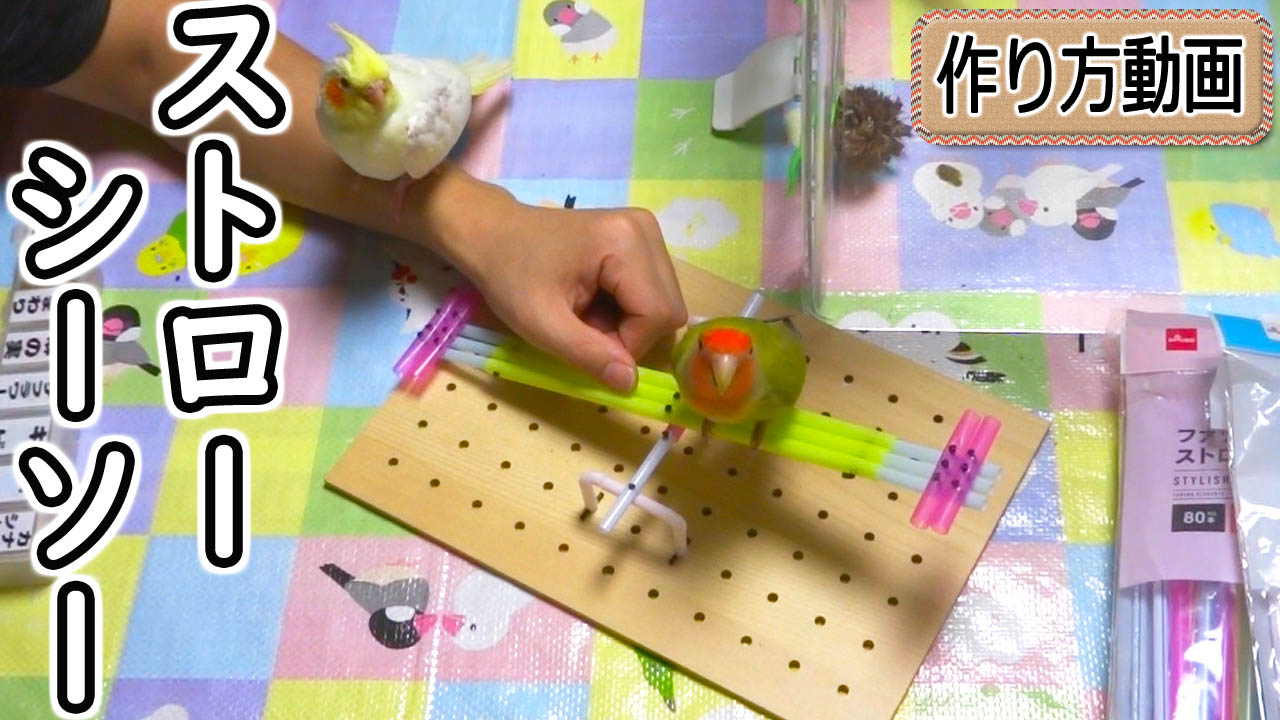 小桜さくら Youtubeを更新しました 手作りに興味ある方どうぞ ちょっと穴あけが難しい コザクラ Amp オカメインコ用におもちゃを手作り ストローでシーソー T Co Kkqo2x9mdu 基本100均材料で さくら ぽぽ と一緒に色々作ってます