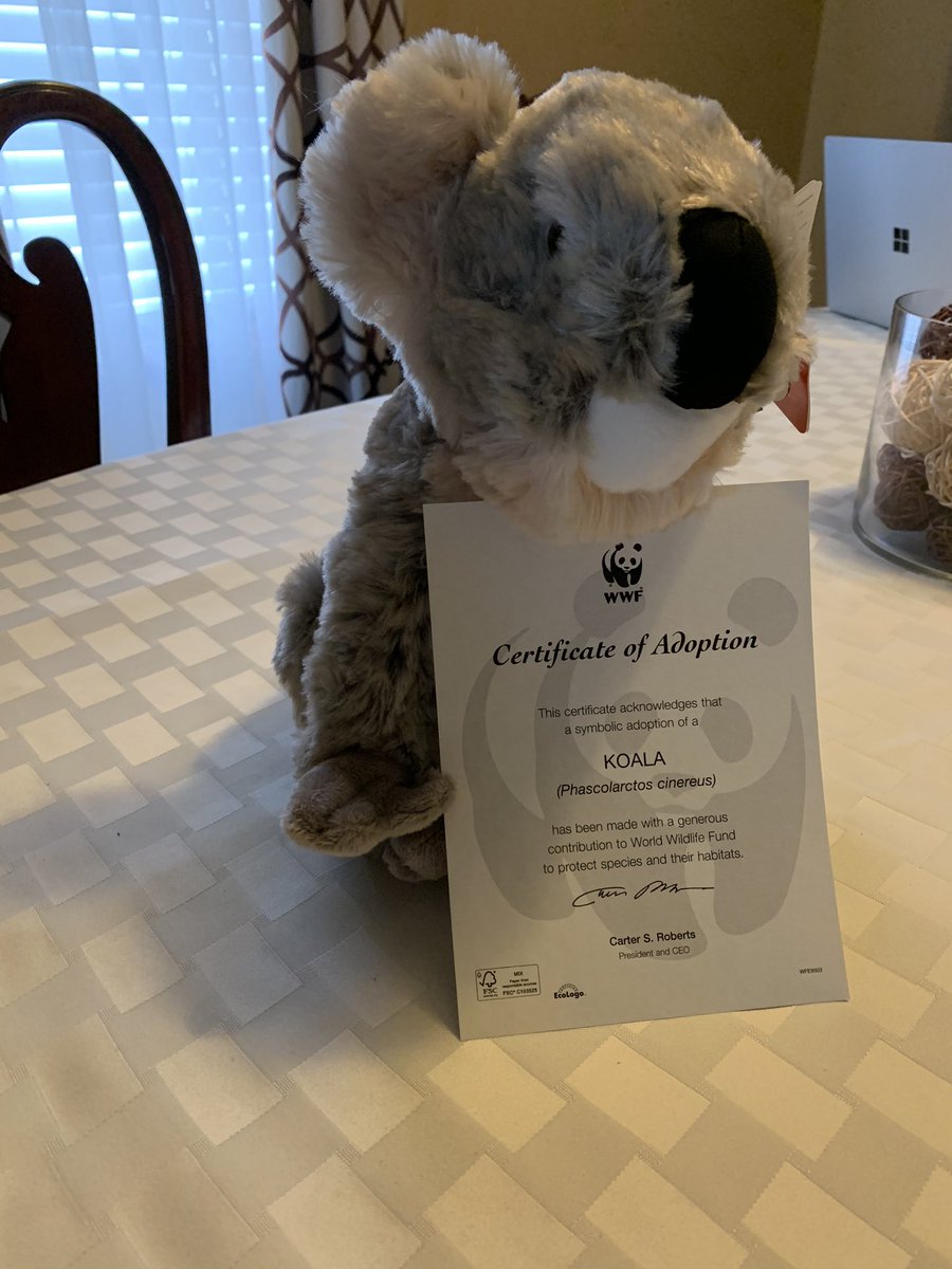 Wwf Adopt An Animal / Birthday Gift Adopt An Animal Panda Adopt Tiger