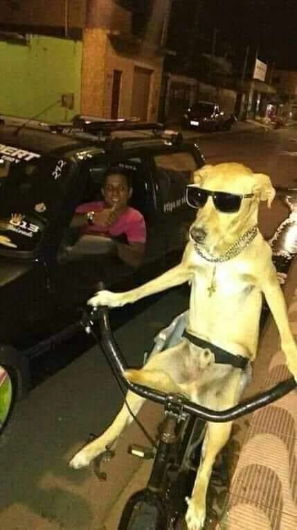 Ku beritahu dunia karena Saad ini
mereka sedang berpesta