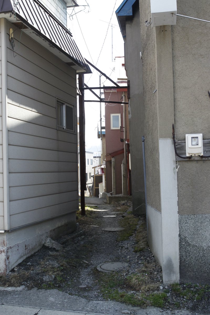 quzillayama's tweet image. 花園橋あたりで。

#小樽よいとこ #小樽酔いとこ