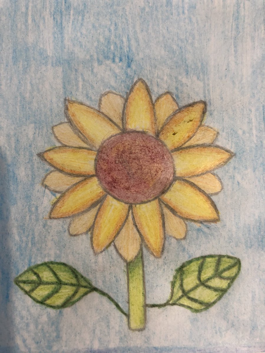 merwilliams01's tweet image. Elsies sunflower 🌻 art @LittledeanSch