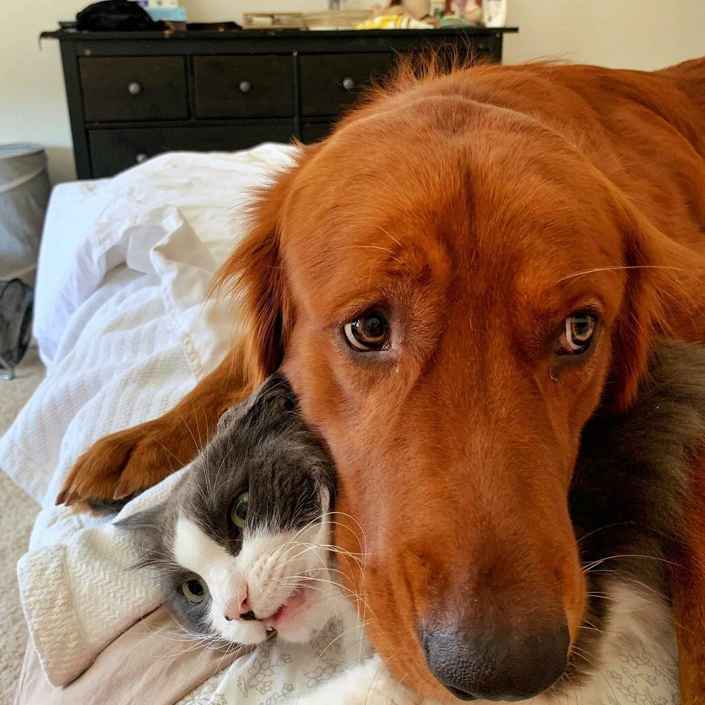 Lynne Feifer tweet media