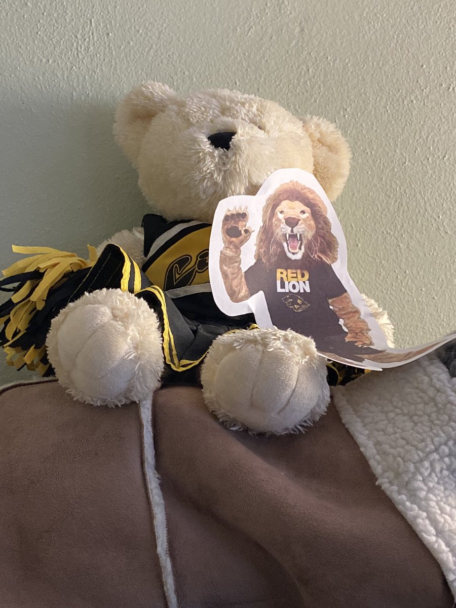 DianeLubking's tweet image. Leo cheering us all on!

#RLKeepLearning
#RLCommunityPride