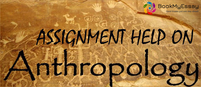 Book_My_Essay's tweet image. If you need best anthropology assignment help then go BookMyEssay which gives best expert writers for your help. For more information
Visit here: bit.ly/2zBwE6t
#AnthropologyAssignmentHelp #AssignmentWritingOnline #AssignmentEssayHelp
Contact us: +1(240)8399485