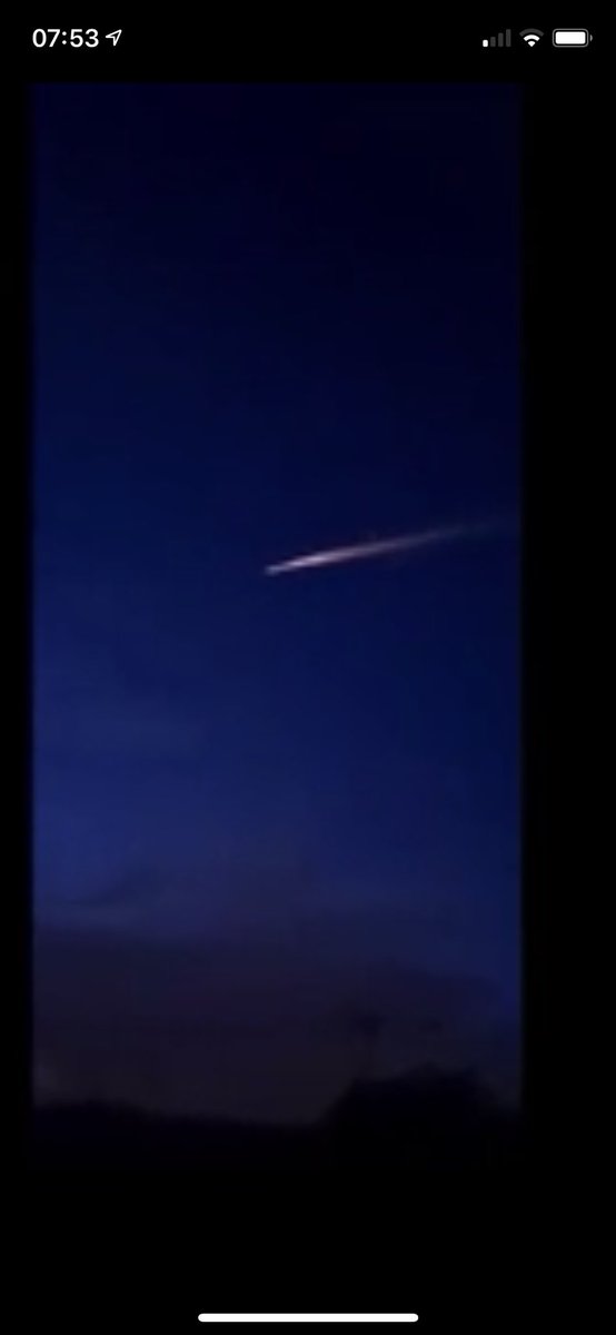 Renzo Lercari tweet media