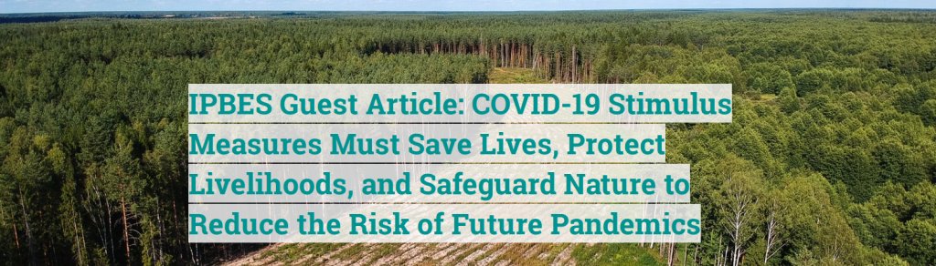 Luca_Mercalli's tweet photo. Un'importante presa di posizione dell'IPBES.
Più degradiamo gli ambienti naturali più aumentiamo la probabilità di comparsa di nuove malattie per l'umanità, serve un ripensamento del nostro paradigma economico che premia soltanto la crescita ad ogni costo.
https://t.co/KSdt4Lmhtn https://t.co/FC78QYRrE4
