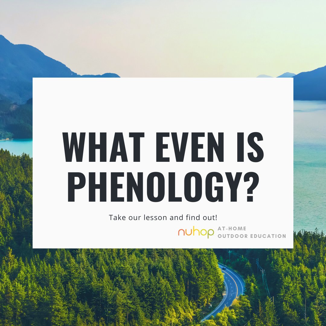 What even is Phenology?!  I can tell you, I had no clue until I took a lesson with Branch.  Check it out at the link below!

sites.google.com/nuhop.org/at-h…