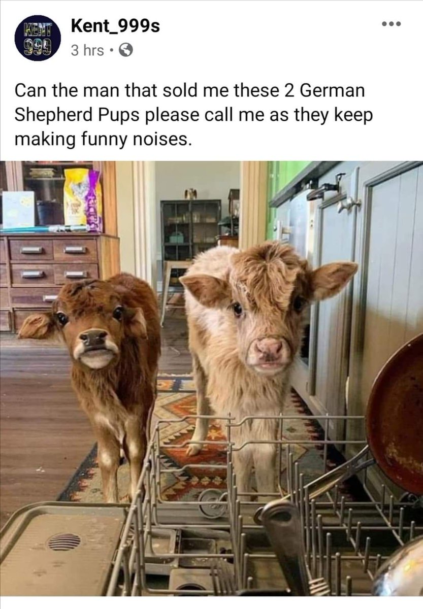 This made my day. Cheers really needed that. 😂😂