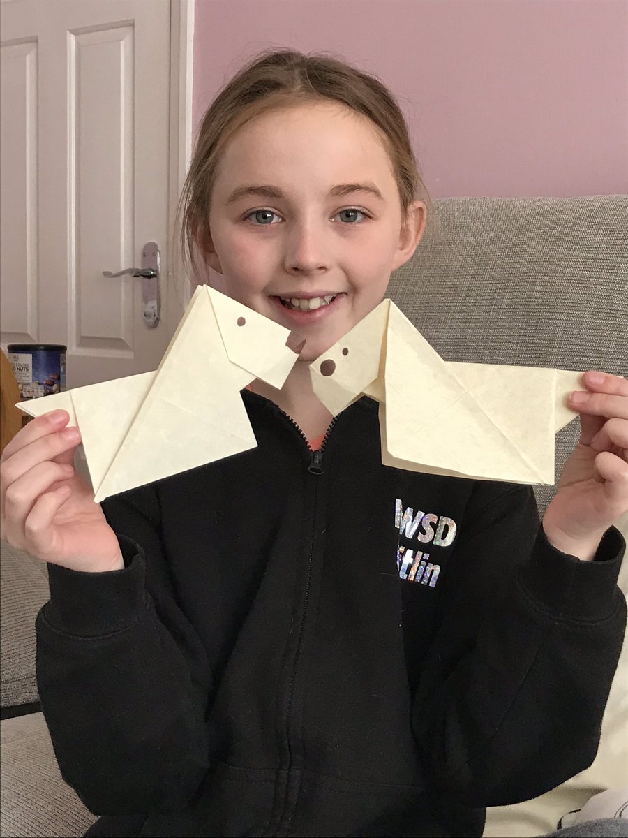 MichelleWeedall's tweet photo. Caitlin making origami dogs today. @ysgolbrynhedydd #6cj https://t.co/yaLRoDYmWt