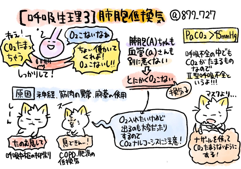 看護師のかげさん イラスト看護帖書籍化 Twitterissa 低酸素血症 肺胞低換気 かげの呼吸生理講座3 何らかの原因で十分なガス交換が行えるだけの肺胞換気量が得られない 肺胞気酸素分圧 を招く 肺胞低換気だけの場合a Do2は開大しない 型呼吸不全 Paco2は 看護師のかげさん イラスト看護帖書籍化 Twitterissa 低酸素血症 肺胞低換気 かげの呼吸生理講座3 何らかの原因で十分なガス交換が行えるだけの肺胞換気量が得られない 肺胞気酸素分圧 を招く 肺胞低換気だけの場合a Do2は開大しない 型呼吸不全 Paco2は