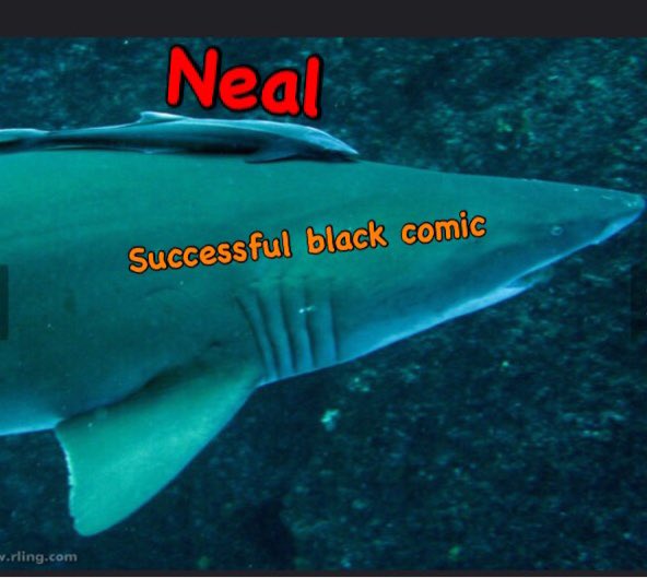 StancilJim's tweet photo. @CollopyD @GregFitzShow @nealbrennan @kevinbrennan666 #NealStinks https://t.co/SzWF5M3cpT