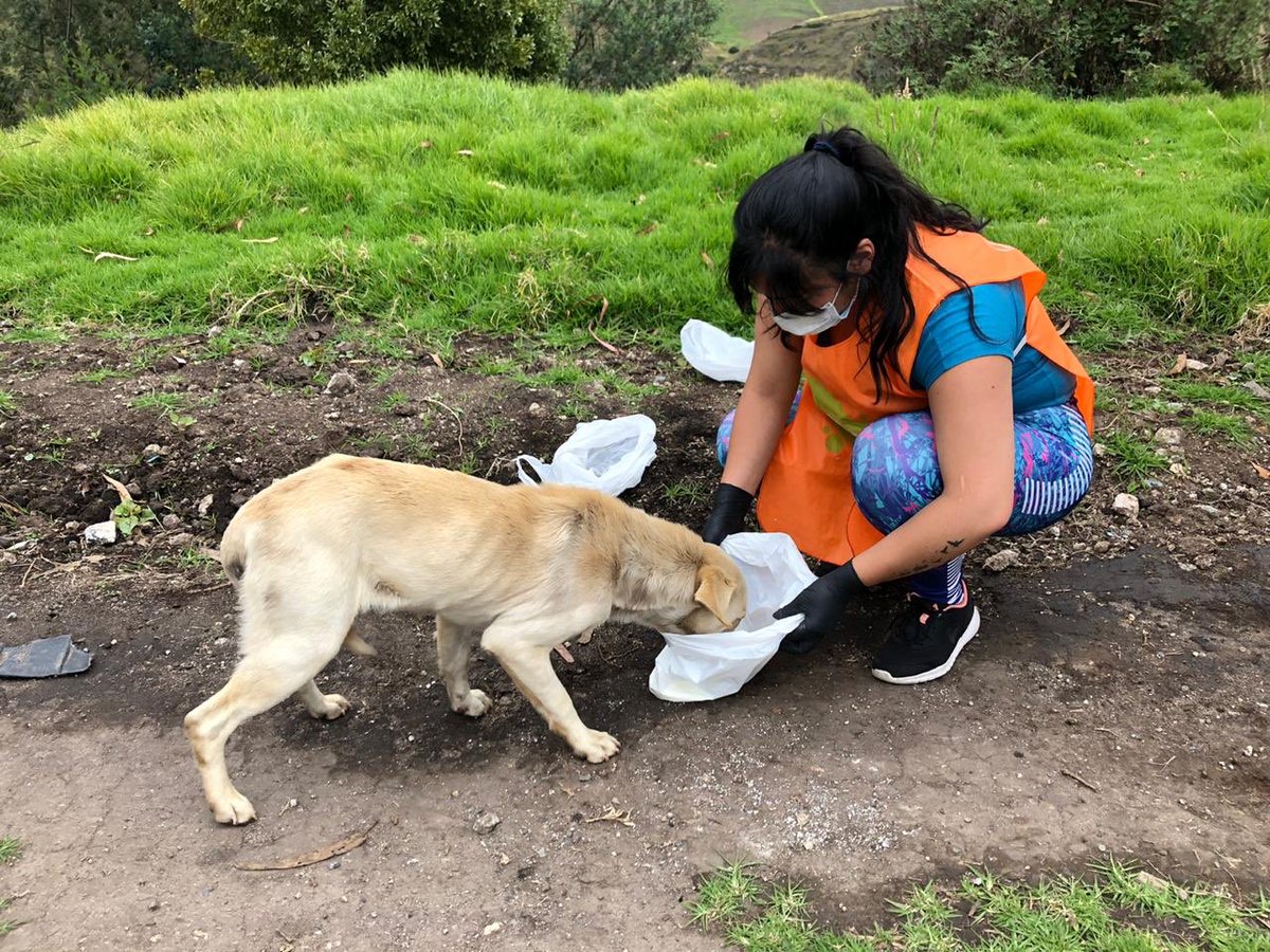 loboruiz04's tweet photo. Gracias a @JuntosSomosVida y @WilsonMerinoR por permitirnos llegar a los barrios urbano marginales de #Tulcán con víveres en medio de esta grave crisis
#LaUnionEsElCamino

@ImparablesEc @bianquirebeca @AVAstudillo @soynorris @alexismoncayo @juparu_ec @KarlaMoralesR @HerediaCarla https://t.co/mUAGJXXoBZ