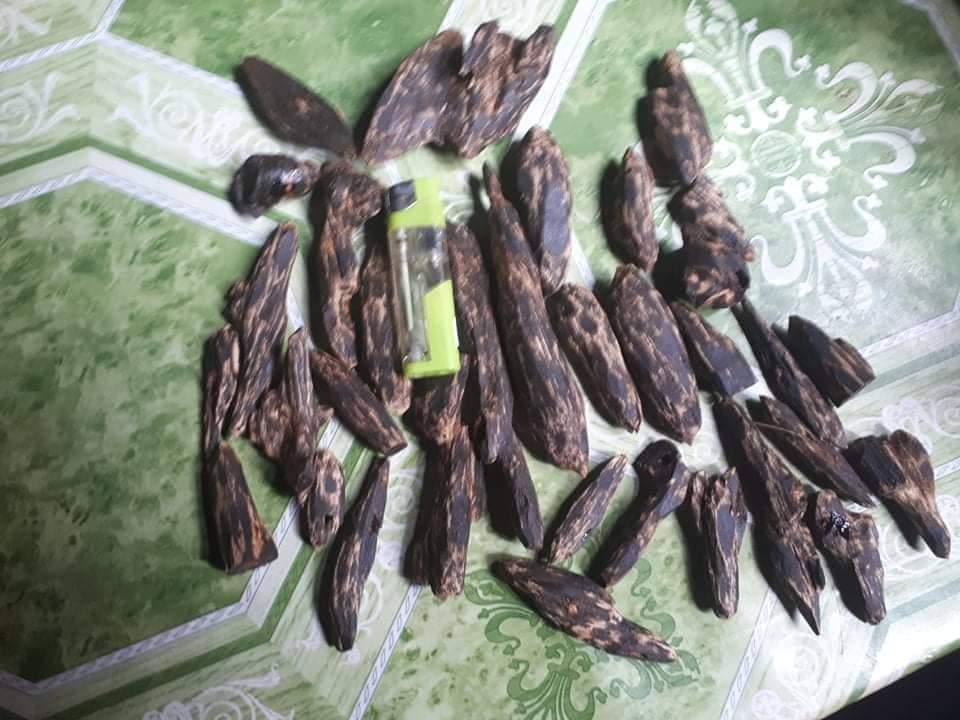 vipkingoud's tweet photo. Jungle oud New Arrival 
100% Pure Philippine
Special Promotion
Real and Rear
Inbox me for price 
Strong Sweet Smell 
#Cambodi #cambodioud #Oudcambodi 
#agarwood #bestoud #Pursatoud #kuwaitoud #arabicoud https://t.co/B5iQjm2H0f