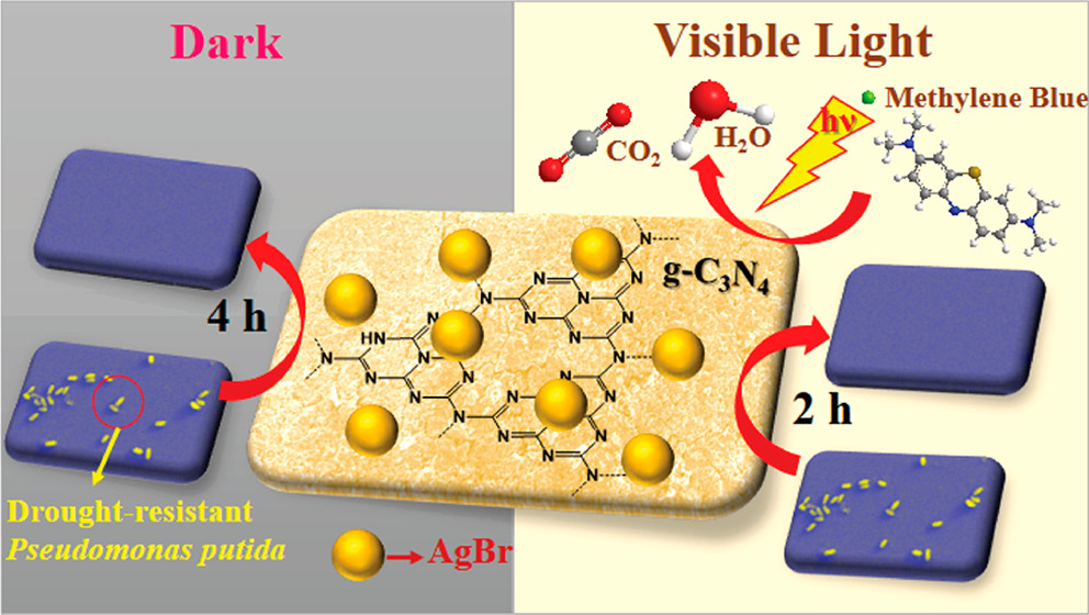 nanotrac's tweet photo. ACS AMI [ASAP] Highly Dispersed Nanocomposite of AgBr in g-C3N4 Matrix… https://t.co/3PPzyhI7zm Via @ACS_AMI #ACSAppliedMaterialsAndInterfaces #InterdisciplinaryCommunity #ScienceJournal #FunctionalInorganicMaterials #BiologicalApplications #CompositeMaterials #PolymerMaterials https://t.co/RCxiBNQn5E
