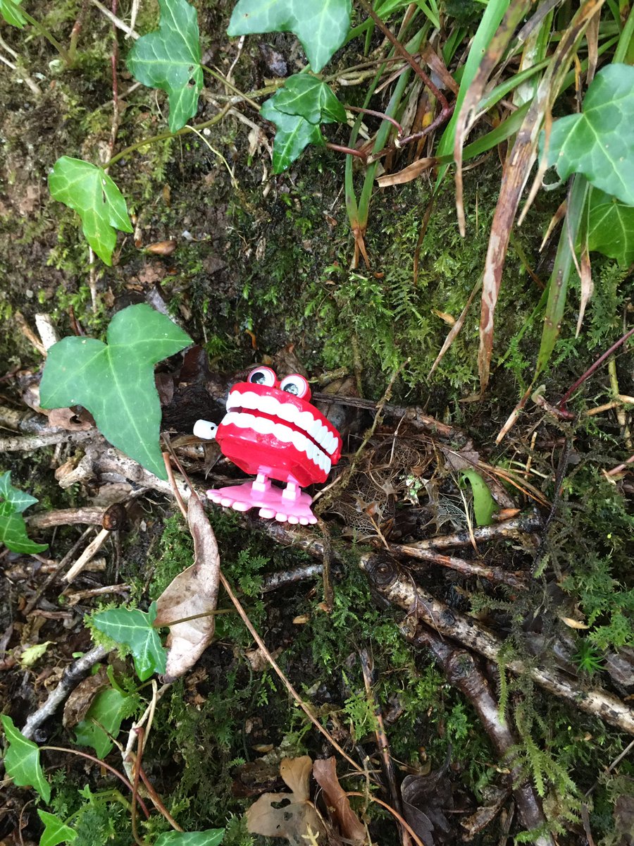 spillholder's tweet photo. #viralarchive,#signsoflife Lots of additions to ‘Covotive Offerings’ on village walk today. North Devon. https://t.co/5vwwjMOtbB