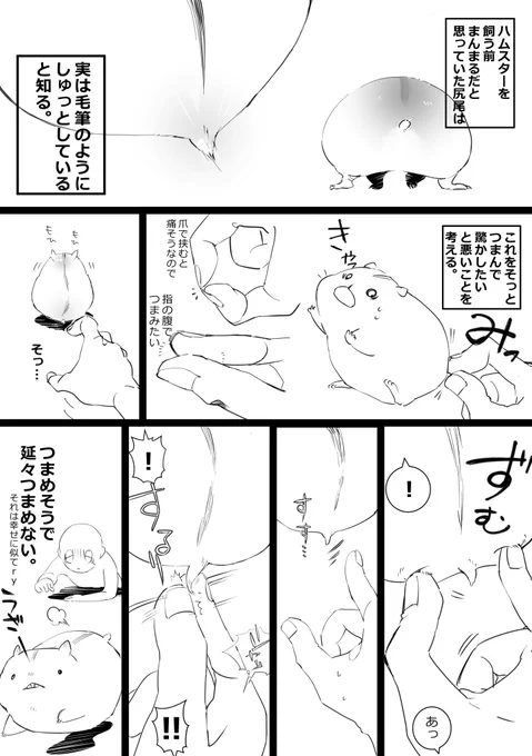 ポンポンがついてると思ってたんだよ。
意外とこりこりしてるんだよ。
#ハムスター漫画 