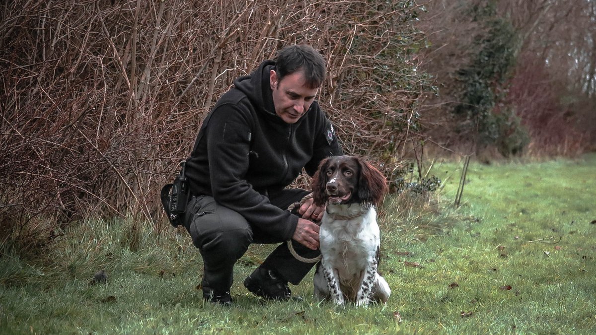 Isle Of Man Prison Dog Section tweet media