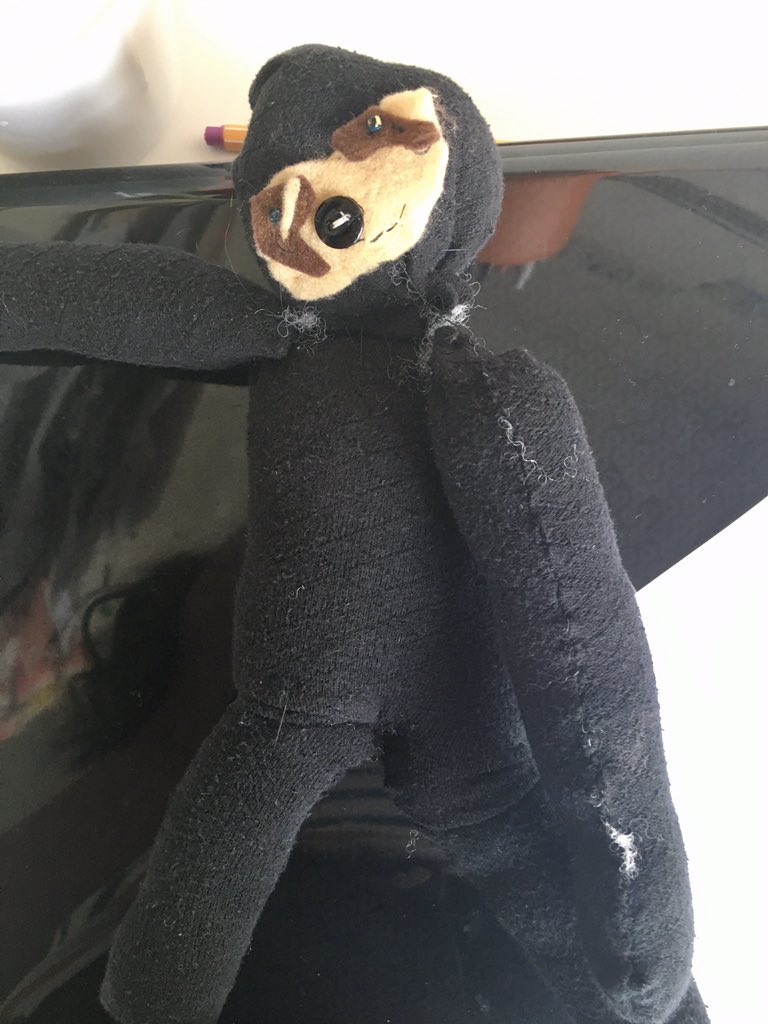 We are learning more about Peru - Hannah dressed up in traditional style and Emily made a sloth! <a href="/ThealeGreen/">Theale Green School</a> #ThealeGreen365