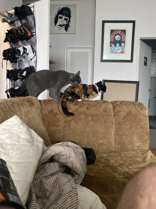 The kids reeking havoc this Am https://t.co/tQGwaIxUTo