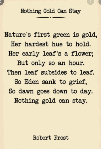 MineolaIL's tweet photo. Happy National Poetry Month! Today is #PocketPoemWednesday in #DistanceLiteracy Week for grades 3-7!

Record yourself reading a favorite poem or song using this 
@Flipgrid: https://t.co/Fm7TJM2E0p 

Here is one of my favorite poems from one of my favorite novels, The Outsiders: https://t.co/HTXB0JJkOb