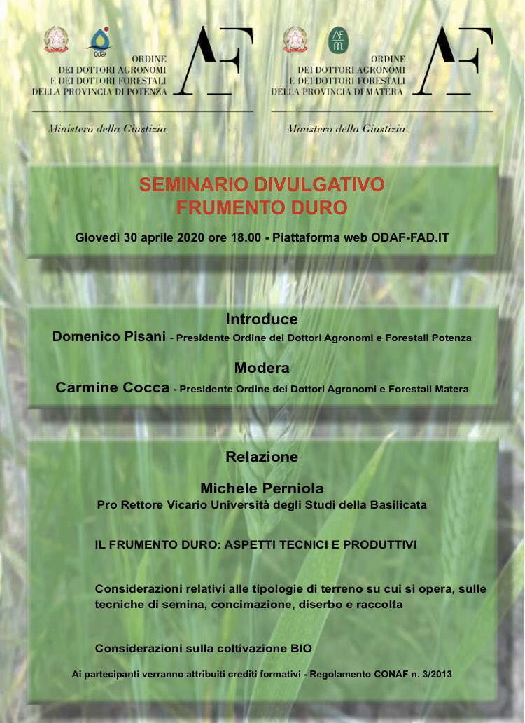 Seminario sul frumento <a href="/AFMatera/">AgronomiForestaliMT</a> <a href="/agroforpz/">agronomiforestalipz</a> <a href="/CarmineCoccaMT/">Carmine Cocca</a> #grano #frumento #agroalimentare