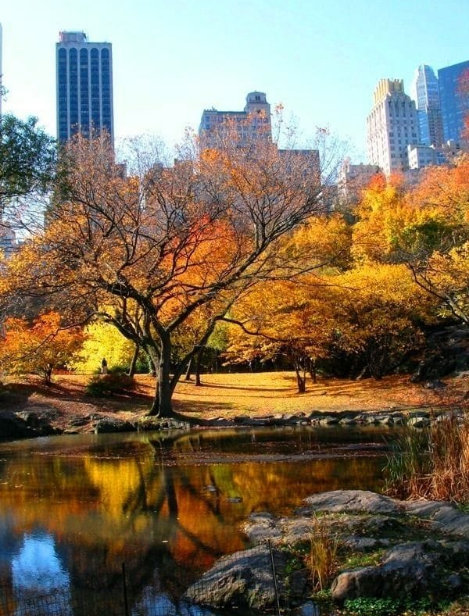 Shendry 🇺🇸 (@shendry70085341) on Twitter photo 