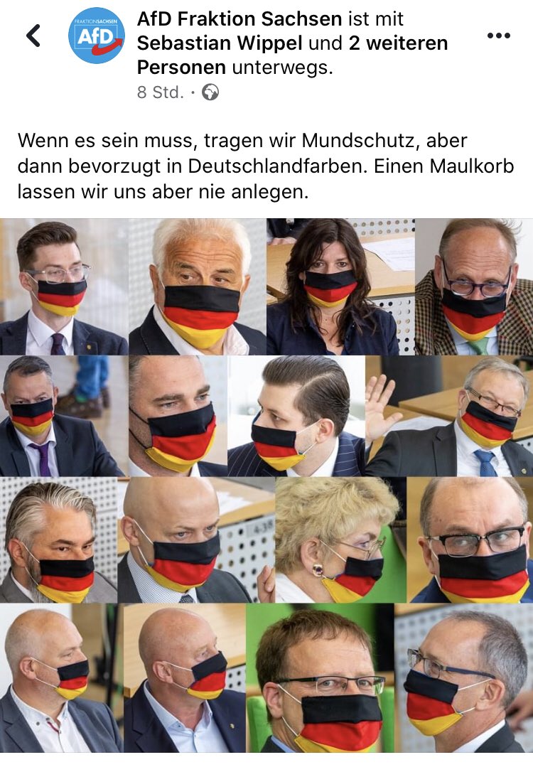 Hasnain Kazim on X: Die AfD-Fraktion Sachsen rotzt und spuckt auf die  deutsche Flagge. Megapatrioten, diese Typen.  / X